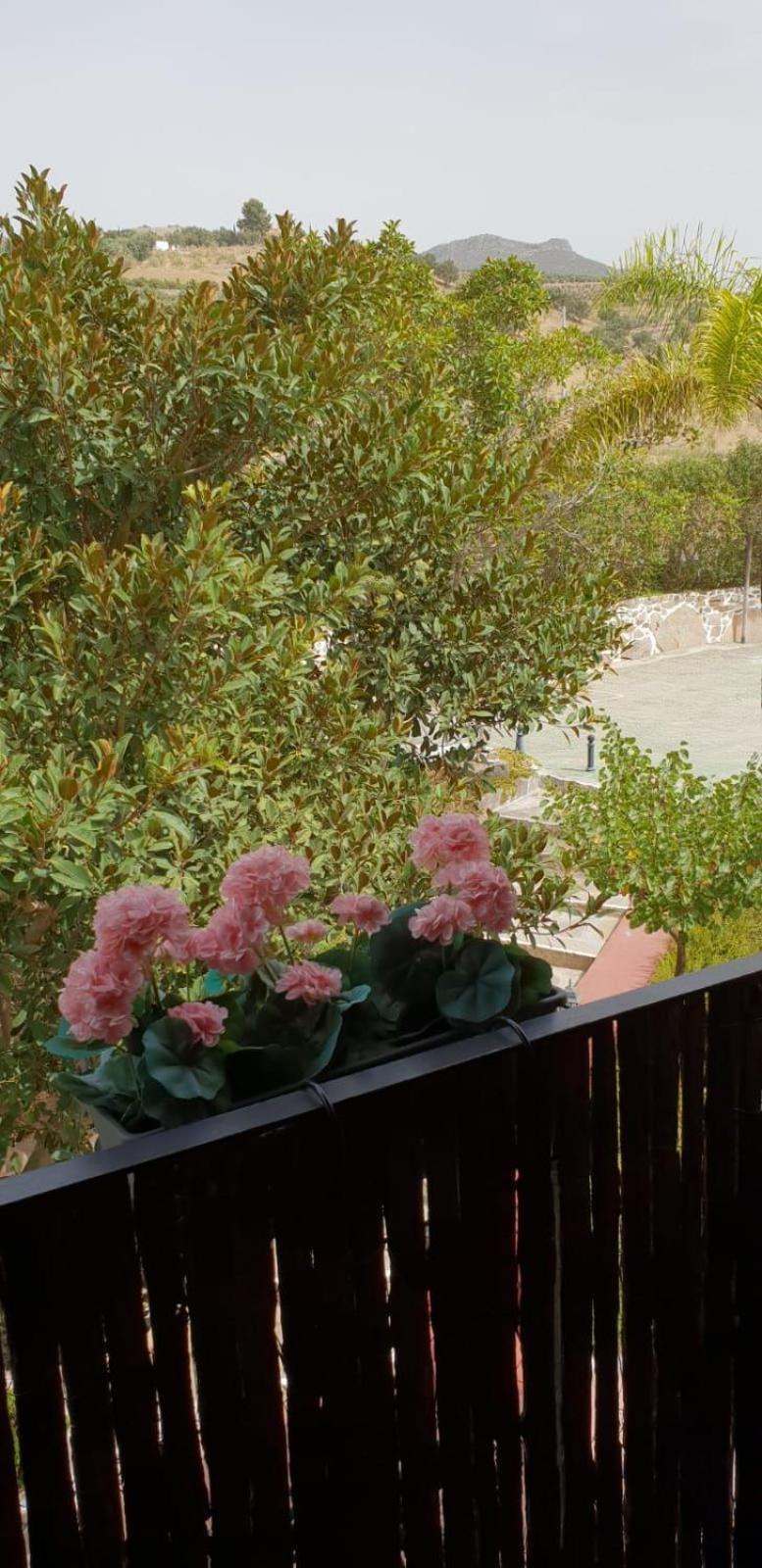 Alcaucín Hotel Cortijo De Salia חדר תמונה